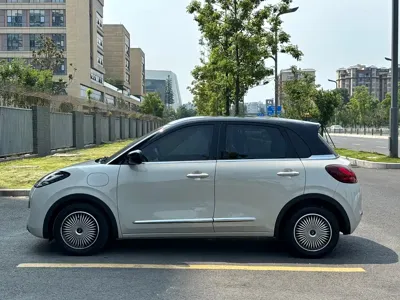Wuling Bingo