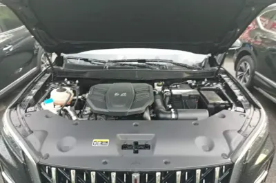 Hongqi HS5