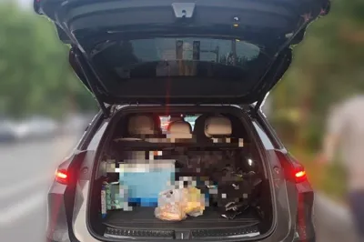 Li Auto L6
