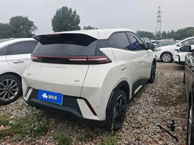 BYD Seagull