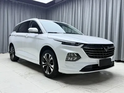 Wuling Victory