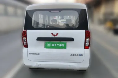 Wuling Zhiguang New Energy