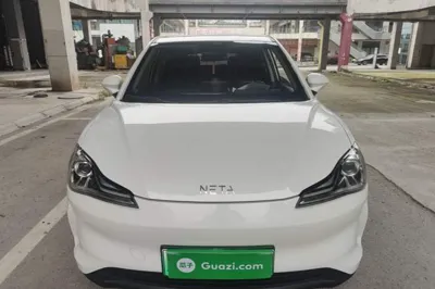NETA V