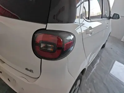 FERRAL EV