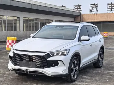 BYD Pro New Energy