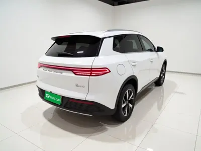 BYD Pro New Energy