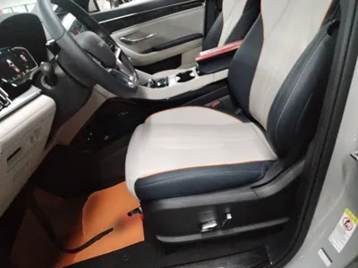 BYD PLUS New Energy