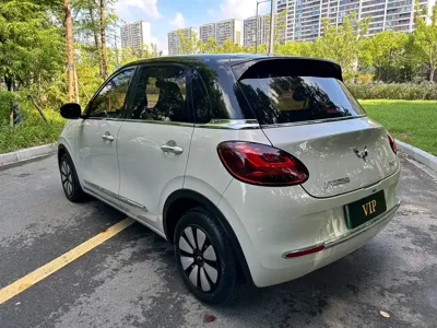 Wuling Bingo