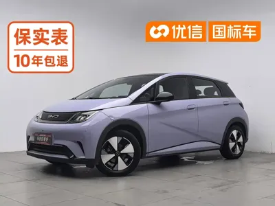 BYD Dolphin