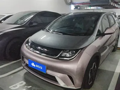 BYD Dolphin