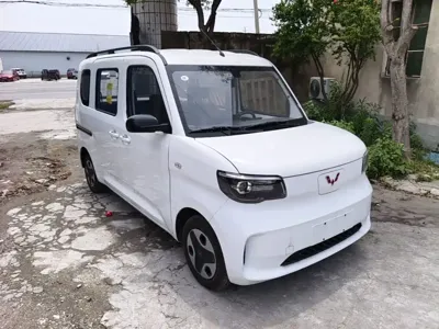 Wuling Zhiguang EV