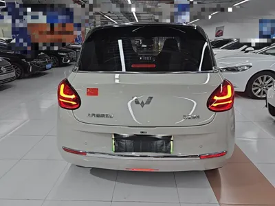 Wuling Bingo