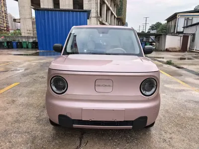Galaxy Panda