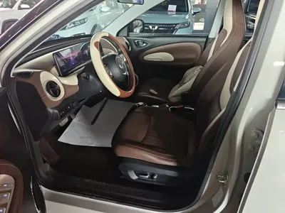 Wuling Bingo