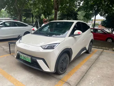 BYD Seagull