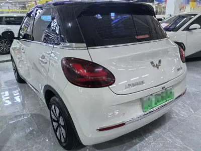 Wuling Bingo