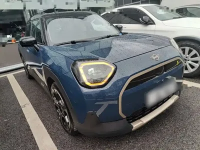 MINI MINI ACEMAN EV