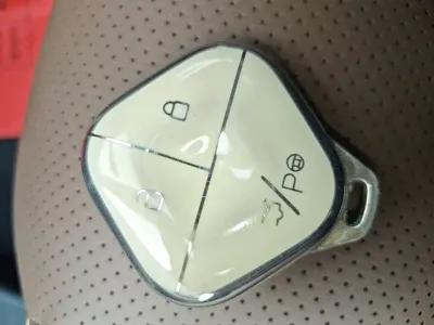 Wuling Bingo