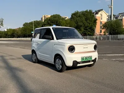Galaxy Panda