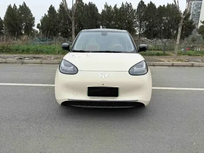 Wuling Bingo
