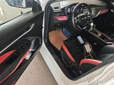 Geely Binrui
