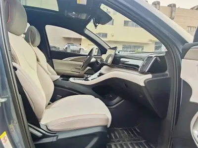 BYD Pro New Energy