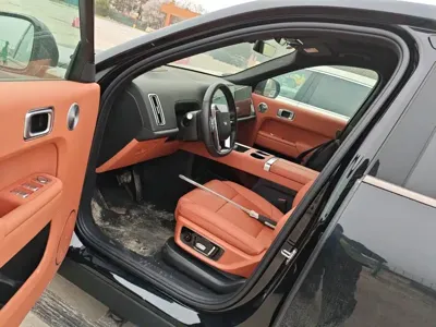 Li Auto Li L9