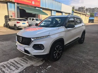 Baojun 510