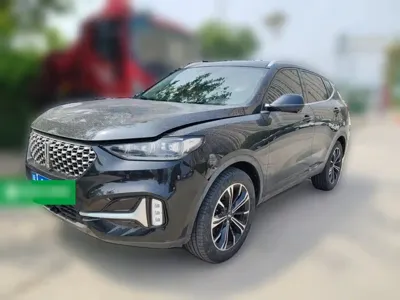 WEY Wey VV6