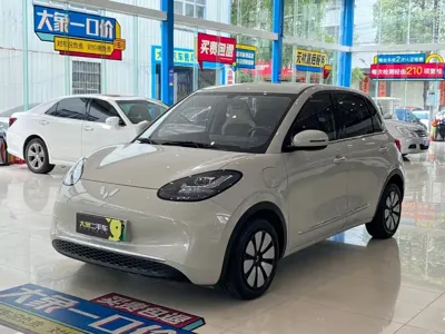 Wuling Bingo