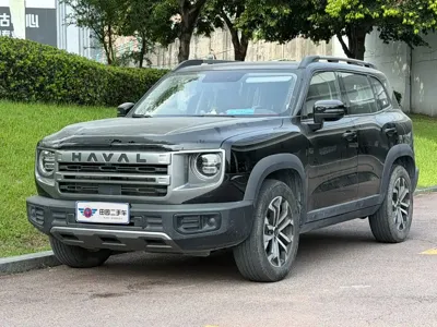 Haval Big Dog