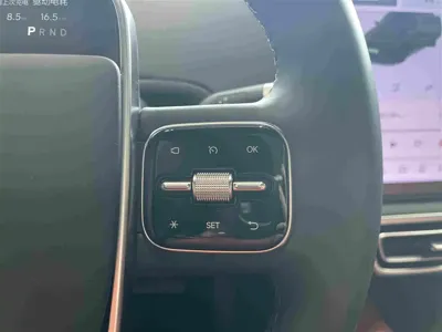 Li Auto Li L6