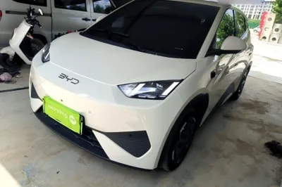BYD Seagull