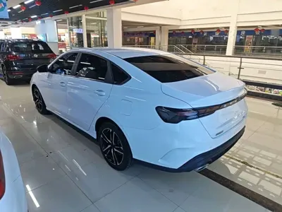 Geely Binrui