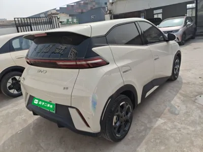 BYD Seagull