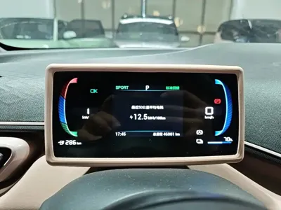 BYD Seagull