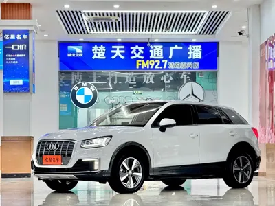 Audi Q2L e-tron