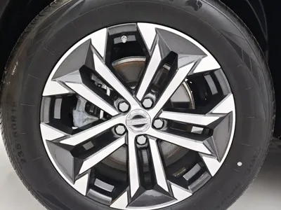 Haval Big Dog