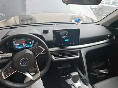 BYD Pro