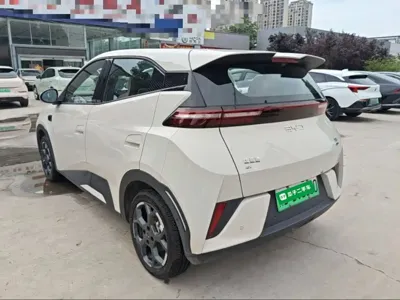 BYD Seagull