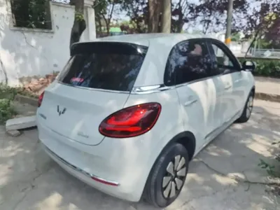 Wuling Bingo
