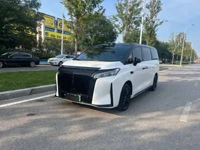 WEY 魏牌 高山新能源