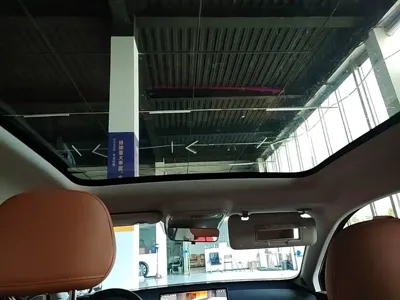 Leapmotor Leapmotor C10