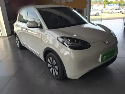 Wuling Bingo