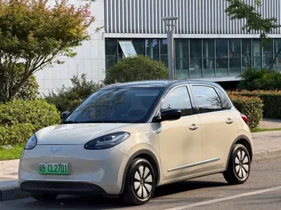 Wuling Bingo