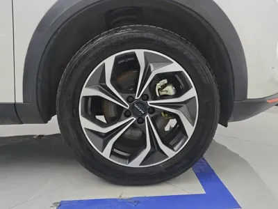 Haval Shenshou