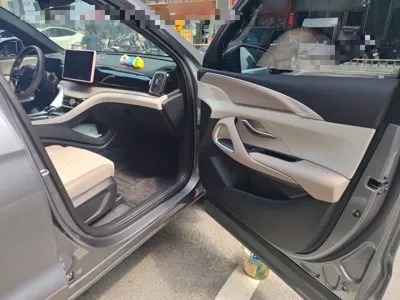 BYD Pro New Energy