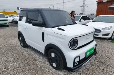 Geely Galaxy Panda