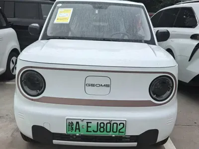Galaxy Panda