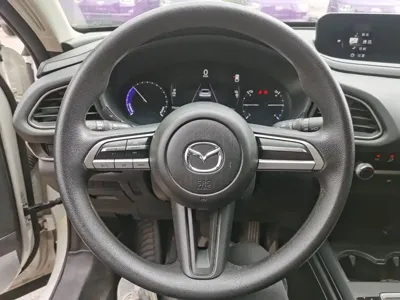 Mazda CX-30 EV